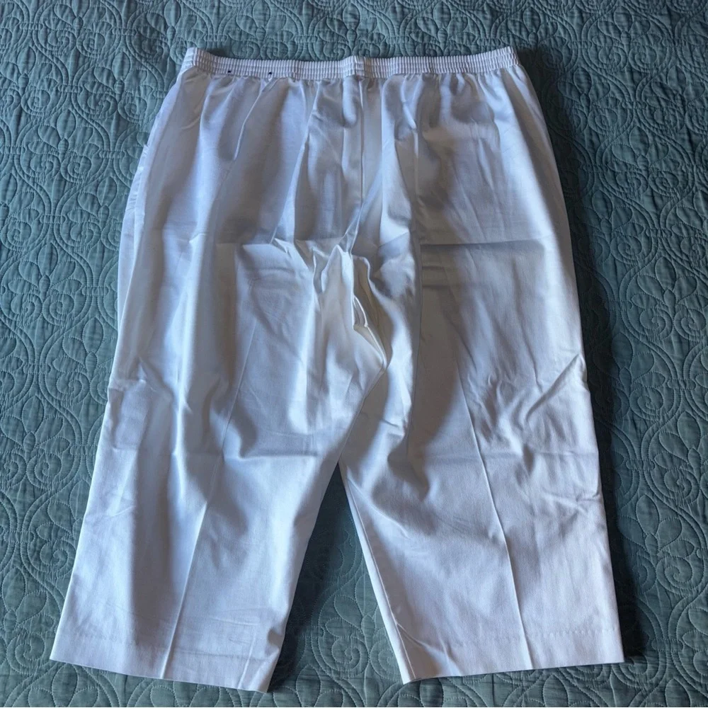 Alfred Dunner White Flat Front Men's Shorts - Picture 5 of 6